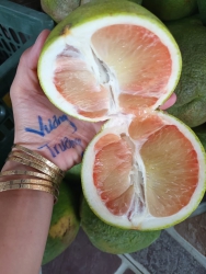 Mai nhà e có... tại Quảng Nam