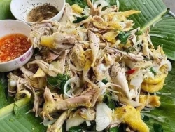 gà tre sale rẻ tại Quảng Nam