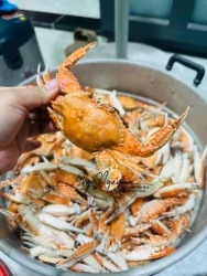 Ghe mới gỡ lưới lên được ít ghẹ tại Quảng Nam