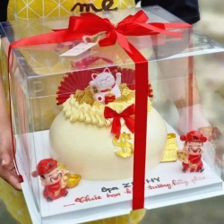 Xuân Thịnh nhận đơn GẤP và ship tận nơi bánh kem đốt cháy ảo thuật tại Quảng Nam