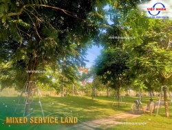Đất nền VSIP Quảng Ngãi lô đôi ngang 12m *22M Phù Hợp mở Văn Phòng, Kho Hàng tại Quảng Nam