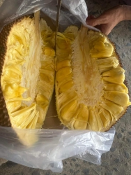 Có trái mít 5kg 75k tại Quảng Nam
