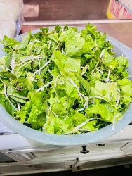 n nhà 3 tầng ngõ rộng, sổ đỏ chính chủ tại Quảng Nam