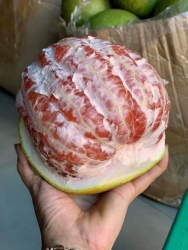 ch ơi, bưởi da xanh ruột đỏ Bến Tre ngọt lịm tại Quảng Nam