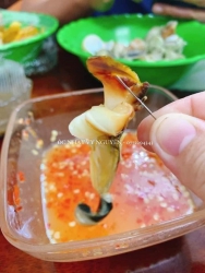 Ốc nhảy sống tại Quảng Nam