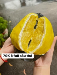 Sẵn Bánh, Ship Liền - Bánh Crepe Sầu Riêng Full Sầu Siêu Ngon tại Quảng Nam