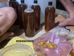 tại Quảng Nam