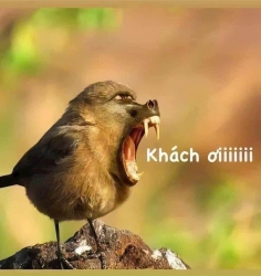 nh tại Quảng Nam