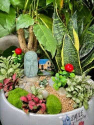 Cây để bàn, quà tặng bên em nhiều lắm ạ tại Quảng Nam