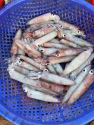  tại Quảng Nam