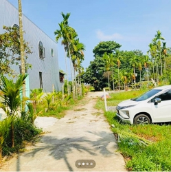 Bán đất An Trạch - Hoà Tiến tại Quảng Nam