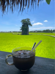 Bán lô đất biệt thự ven Hội An tại Quảng Nam