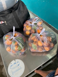 rẻ chưa từng có tại Quảng Nam