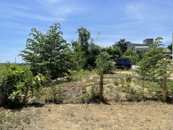 ng tại Quảng Nam