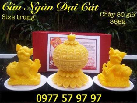 3 SERI LỢN VÀNG VÀ 6 MẪU QUẢ ĐỐT tại Quảng Nam