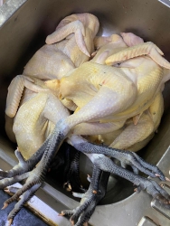 Mai em quay về đường đua nha lục tìm hàng ngon đá tốt cho cả nhà mình đây ạ tại Quảng Nam