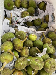 Cập nhật menu hôm nay tại Quảng Nam