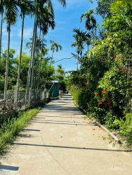 Đất sạch sẽ không mồ mã tâm linh tại Quảng Nam