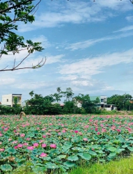 Chủ gửi bán lô biệt thự vew hồ sen Quận Cẩm Lệ tại Quảng Nam