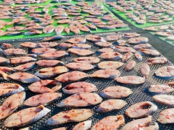 Cá nhà làm bảo đảm sạch sẽ lắm ạ tại Quảng Nam