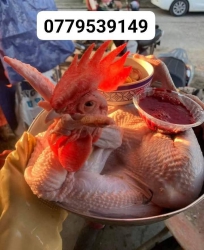 ch đặt e ghi sổ nhé Gà bao ngon + gấp đẹp + lòng mề huyết đầy đủ tại Quảng Nam