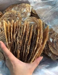 ch khó tính nhất tại Quảng Nam