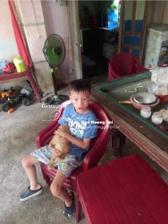 u Bé Ở Khu Vực Cầuu Tứ Câu, Điện Ngọc tại Quảng Nam