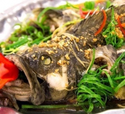 Cá Mú Phi Lê Tươi - Đầu Cá Mú Ngon Béo tại Quảng Nam