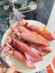 Fish squid, mời vào, khách hàng của tôi tại Quảng Nam