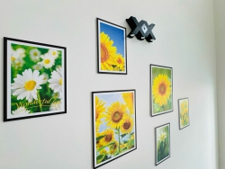 Bán Nhà Mê Lửng Đúc Kiệt Ô Tô Tôn Đản Diện Tích 80m2 Vị Trí Gần Trường Học Chợ Công Năng 3PN 2Wc tại Quảng Nam