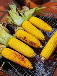  49k/10 bắp tại Quảng Nam
