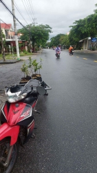 Tận dụng cơ hội khi trời mưa tại Quảng Nam