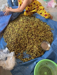 tại Quảng Nam