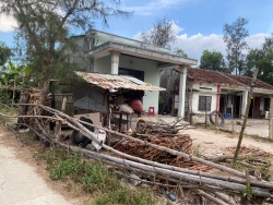 Đất trồng cây gần sinh thái sông đầm Panco Tam Thăng tại Quảng Nam