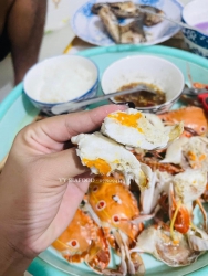 Sos gọi báo mại vé ghe ghé khuyến mãi tại Quảng Nam