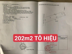 Đất 202m2 + nhà cấp 4 kiệt 2m5 tại Đà Nẵng tại Quảng Nam