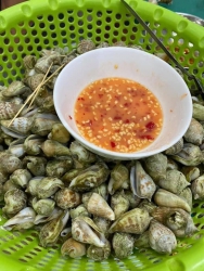 ĐANG SHIP ỐC NHẢY NHÉ tại Quảng Nam