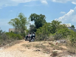 Đất trồng cây gần Khu công nghiệp Bình Phục tại Quảng Nam