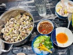 Ốc nhảy sống tại Quảng Nam