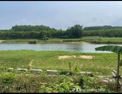 n lô đất thuộc thôn Diệu Phong Hòa Nhơn, gần chợ, gần trường, tiện ích đầy đủ tại Quảng Nam