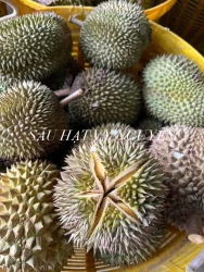  tại Quảng Nam
