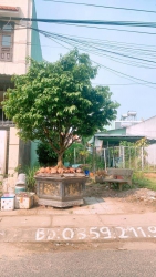 Đất Mặt Tiền Đường Lê Phụ Trần - Khu Dân Cư Tứ Hiệp, Phường An Mỹ - Thành Phố Tam Kỳ tại Quảng Nam