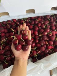 HẸN KHÁCH LỘC MỚI 14H CHIỀU NAY tại Quảng Nam