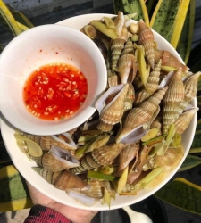  Ốc Nhảy Cày Vua tại Quảng Nam