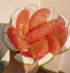 Bưởi Da Xanh Ruột Đỏ tại Quảng Nam