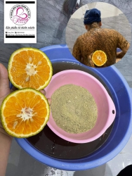 Nhu cầu sâu sình - Có thúc sự cẩn thận mua bán thiết kế tại Quảng Nam