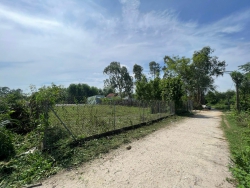 Đất Hòa Thuận phù hợp trồng cây tại Quảng Nam