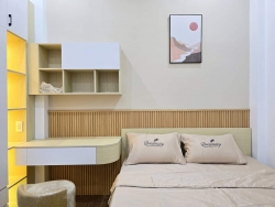 Bán nhà 3 tầng Gara ô tô Đậu đỗ Thỏa mái Kiệt 5m Tôn Đản tại Quảng Nam