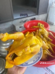 Sỉ Lẻ Gà Ủ Muối tại Quảng Nam