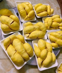 Lô Sầu Thái Hạt Lép Siêu Ngon Nhé Mấy Chị tại Quảng Nam